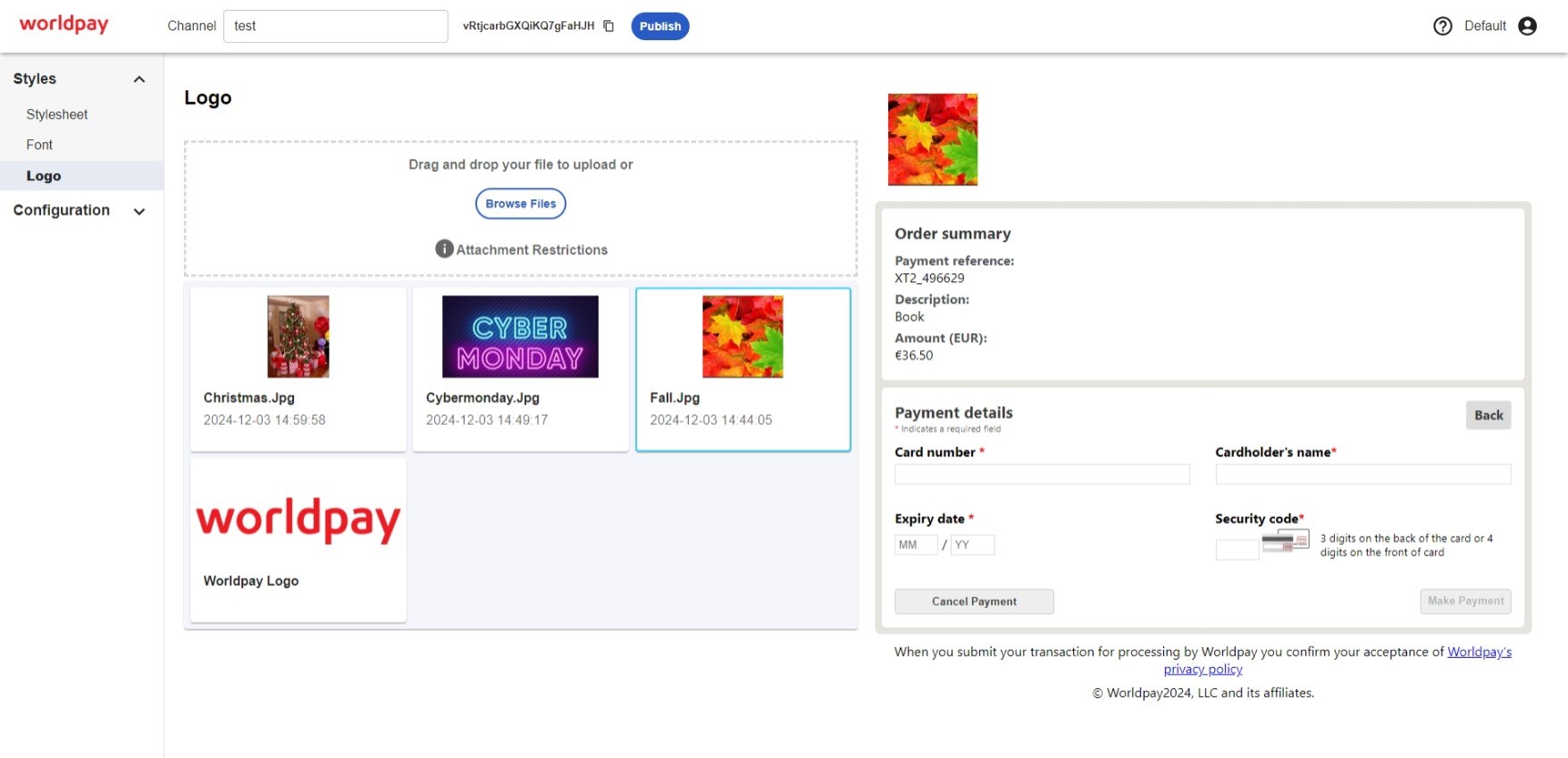 Logo preview pane screenshot
